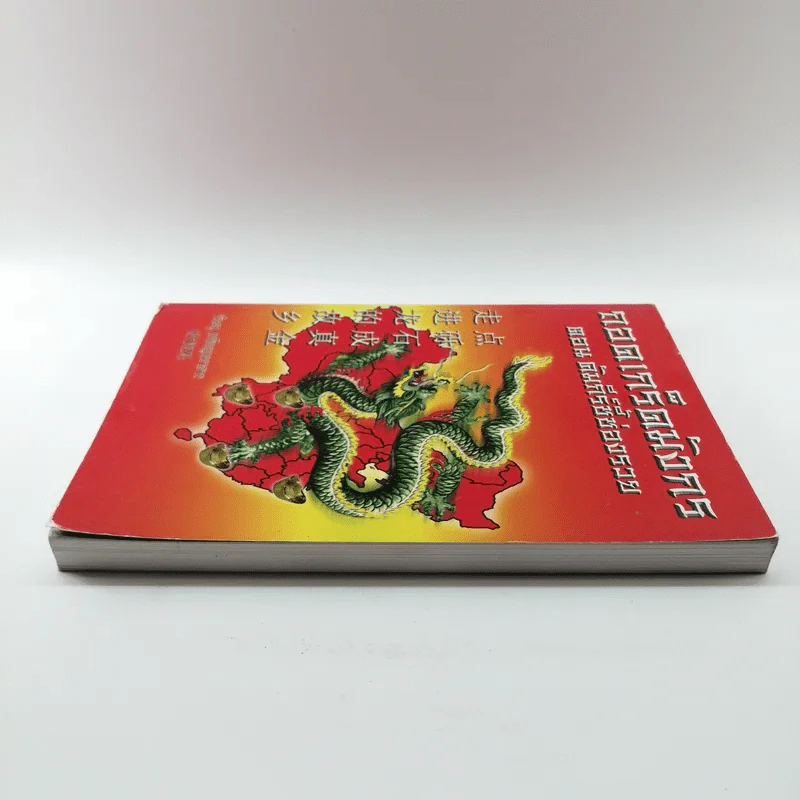ถอดเกร็ดมังกร ตอน คัมภีร์ชี้ช่องรวย - พิษณุ เหรียญมหาสาร รูปที่ 3