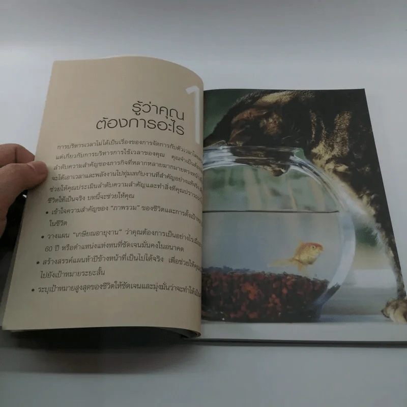 ปฏิรูปวิถีชีวิตและการทำงานของคุณ Manage Your Time - James Manktelow รูปที่ 13