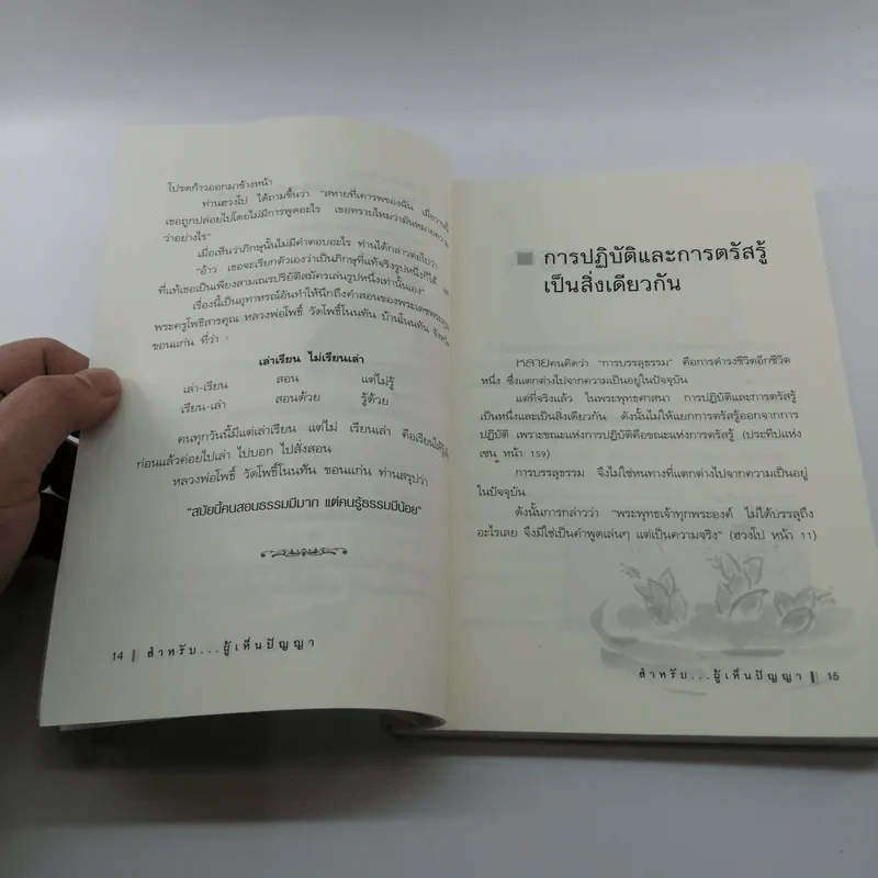 สำหรับผู้เห็นปัญญา - รศ.ดร.บุรัญชัย จงกลนี รูปที่ 12