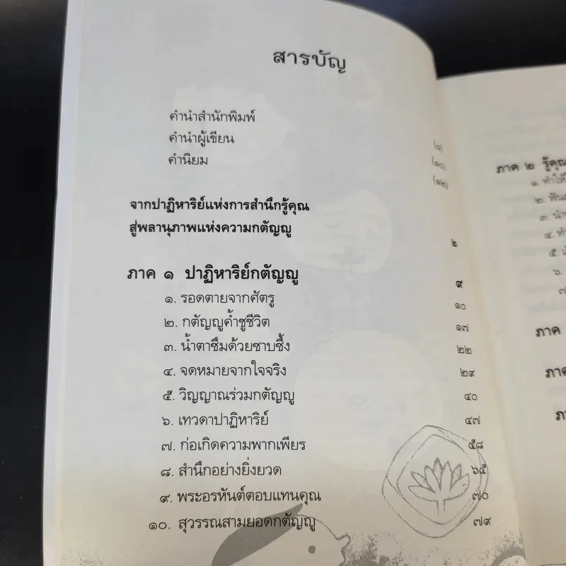 พลานุภาพแห่งความกตัญญู - วุฒิพงศ์ ถายะพิงค์ รูปที่ 11
