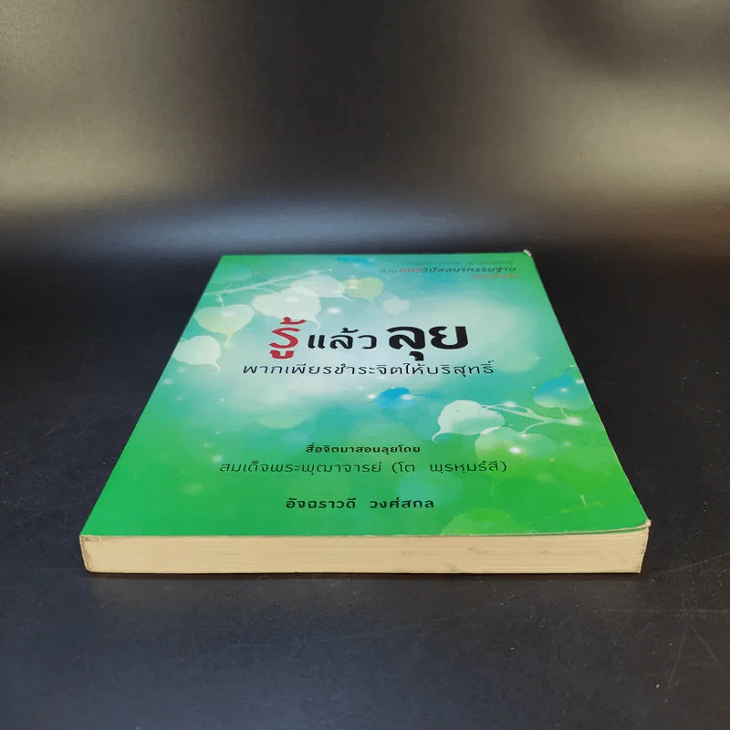 รู้แล้วลุย พากเพียรชำระจิตให้บริสุทธิ์ - อัจฉราวดี วงศ์สกล รูปที่ 4