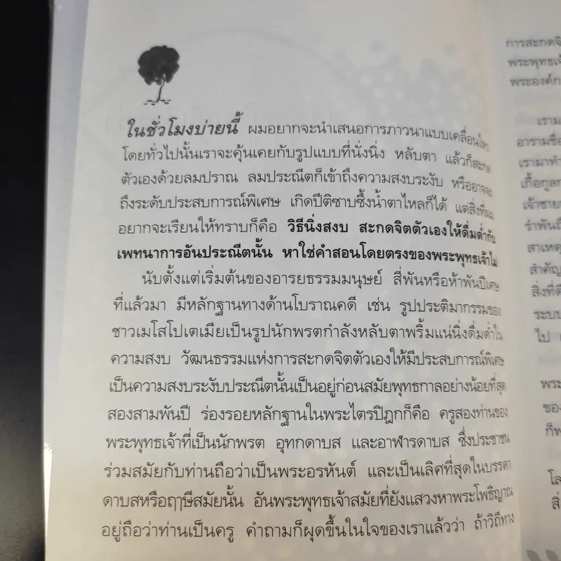 ดวงตาแห่งชีวิต - เขมานันทะ รูปที่ 14