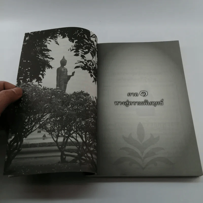 นิพพานชั่วพริบตา - ประเสริฐ อุทัยเฉลิม รูปที่ 13