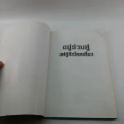 อยู่ร่วมคู่แต่รู้สึกโดดเดี่ยว - แก้วปวงคำ วงไชย รูปที่ 6