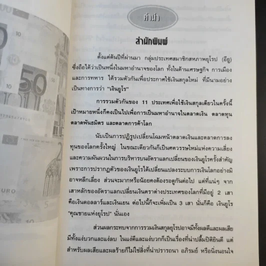 Euro เงินยูโร คัมภีร์เงินตราผู้เขย่าเศรษฐกิจโลก รูปที่ 10