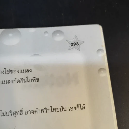 สิ่งประดิษฐ์ กิจกรรมโครงงานวิทยาศาสตร์ รูปที่ 16