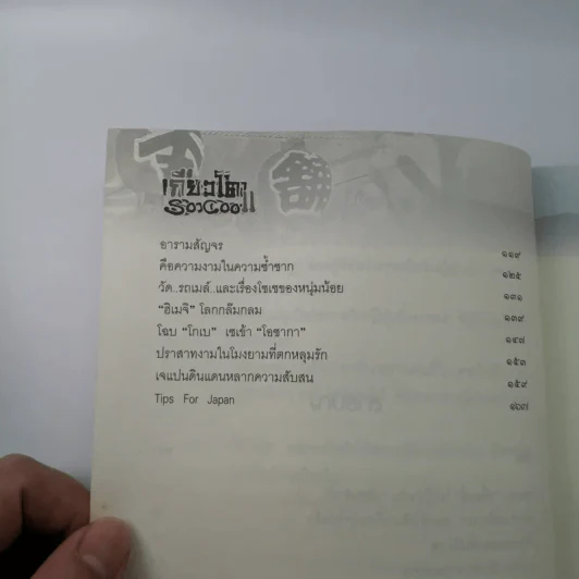 เกียวโต SO COOL - กาญจนา หงษ์ทอง รูปที่ 10
