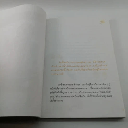 ผมชื่อคิงคองคร้าบ - วัสชนะ พรหมประสิทธิ์ รูปที่ 10