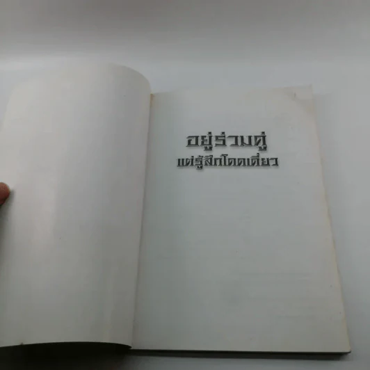 อยู่ร่วมคู่แต่รู้สึกโดดเดี่ยว - แก้วปวงคำ วงไชย รูปที่ 6