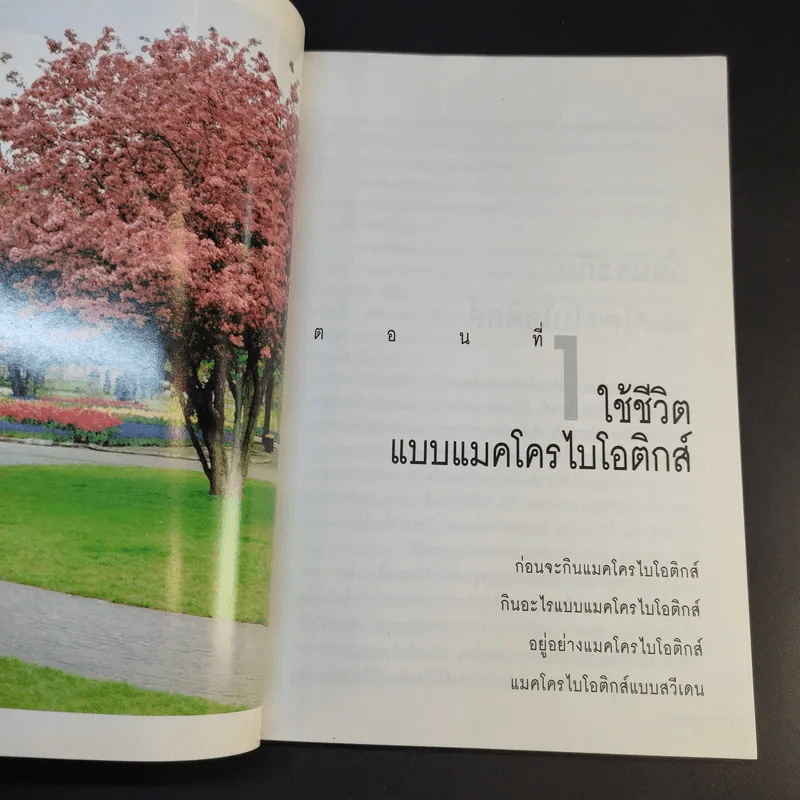 มาใช้ชีวิตแบบแมคโครไบโอติกส์ การกินอาหารและใช้ชีวิตกับธรรมชาติ - สิทรา พรรณสมบูรณ์ รูปที่ 12