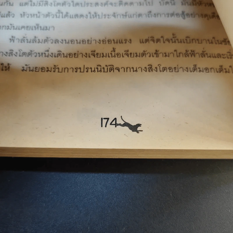 ตามล่า การผจญภัยของสิงห์หนุ่ม - ธีโอดอร์ เจ.วอลเดค รูปที่ 14