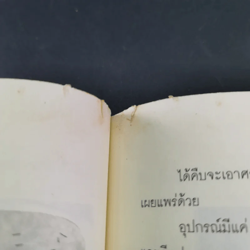 ของ D.I.Y.ขายมุข จากคอลัมน์ช่วยกันทำ - คุณหนูผักกาด รูปที่ 18