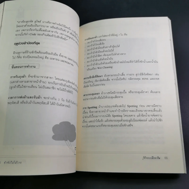 ทำซักรีดให้รวย - เกษมสุข ชินะพัฒนวงศ์ รูปที่ 20