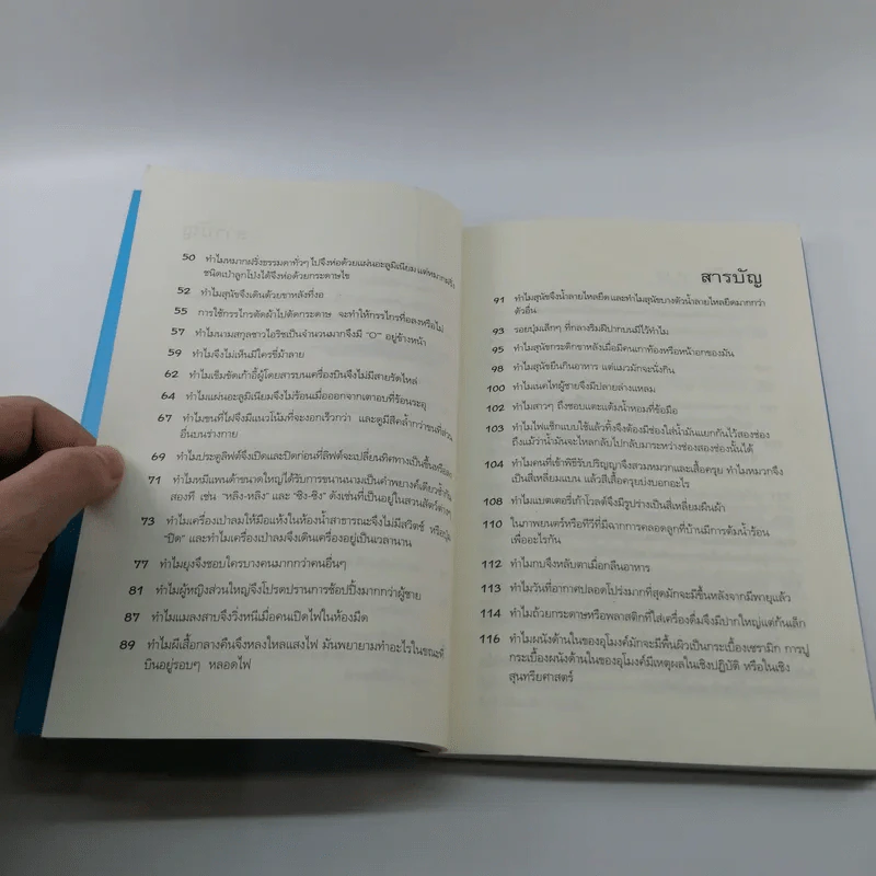 ปริศนาคาใจ? Vol.2 ทำไมจึงไม่เห็นมีใครขี่ม้าลาย - เดวิด เฟลด์แมน รูปที่ 9