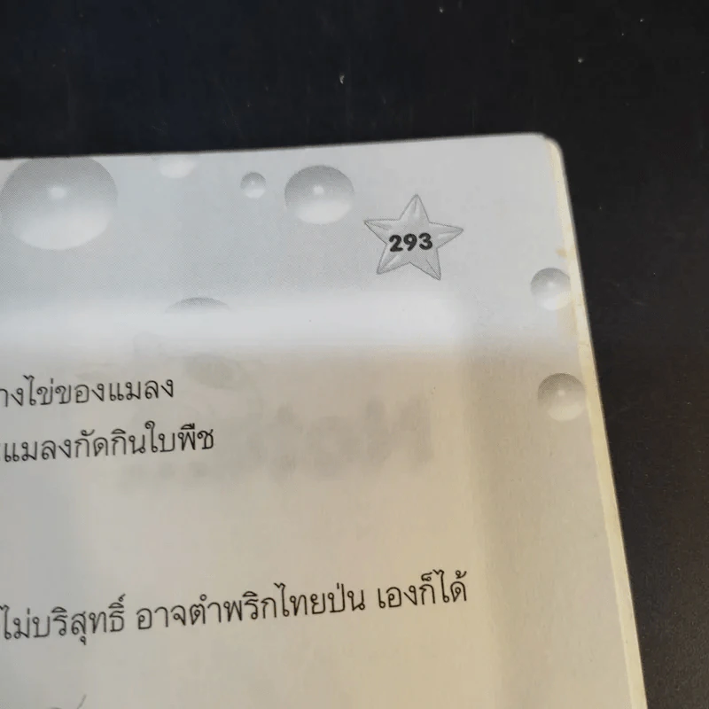 สิ่งประดิษฐ์ กิจกรรมโครงงานวิทยาศาสตร์ รูปที่ 16