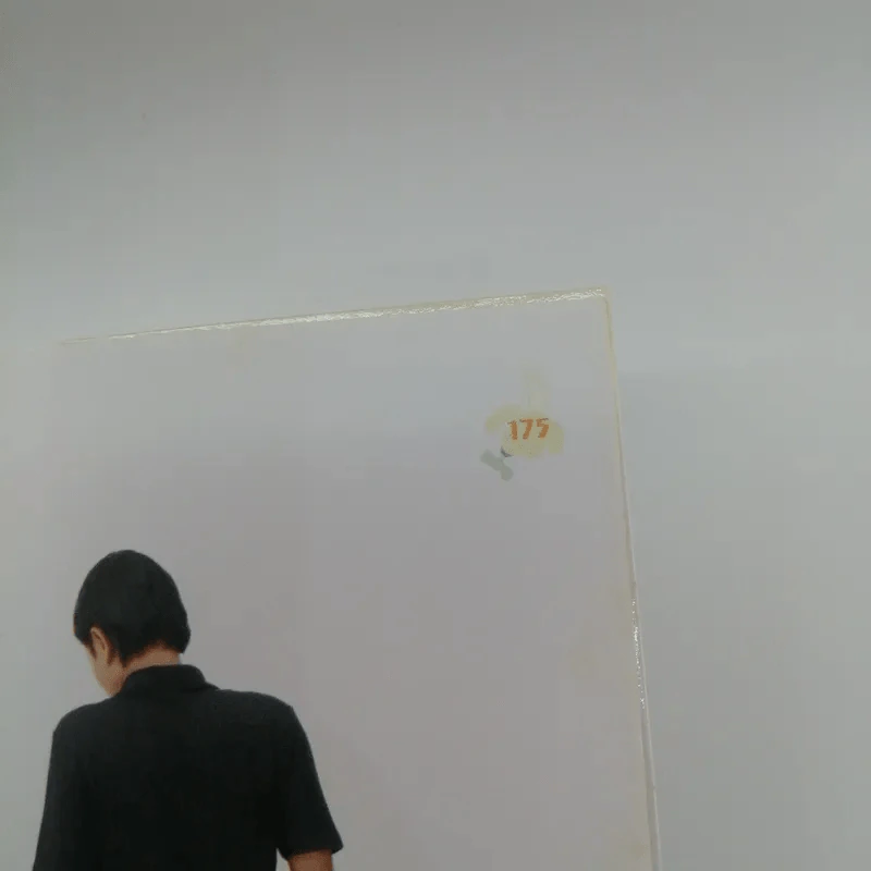 ผมชื่อคิงคองคร้าบ - วัสชนะ พรหมประสิทธิ์ รูปที่ 13