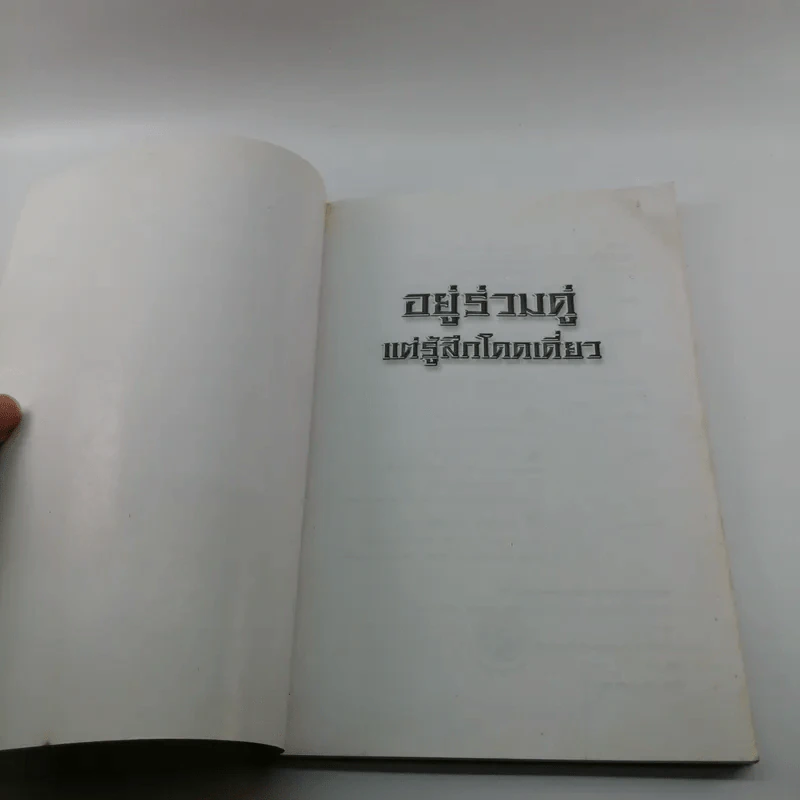 อยู่ร่วมคู่แต่รู้สึกโดดเดี่ยว - แก้วปวงคำ วงไชย รูปที่ 6
