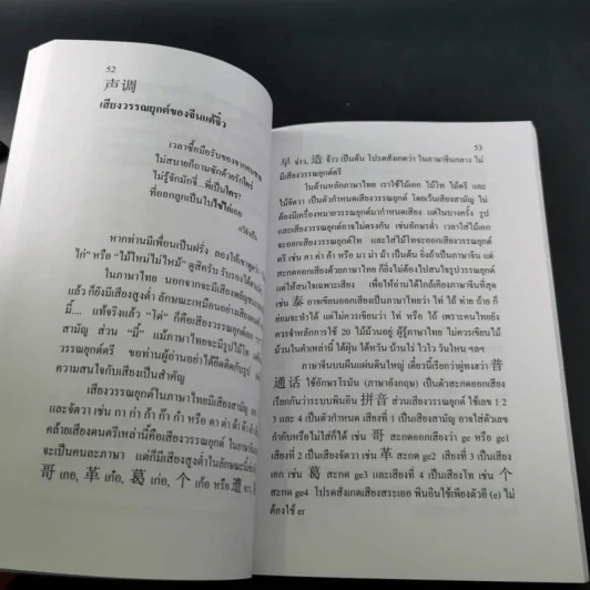 ลูกหลานคนแต้จิ๋ว - เหล่าตั๊ง รูปที่ 16