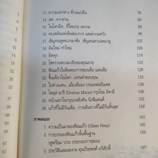 พิณแก้ว พลิกชีวิตใหม่ - วีระพงศ์ ทวีศักดิ์ รูปที่ 13