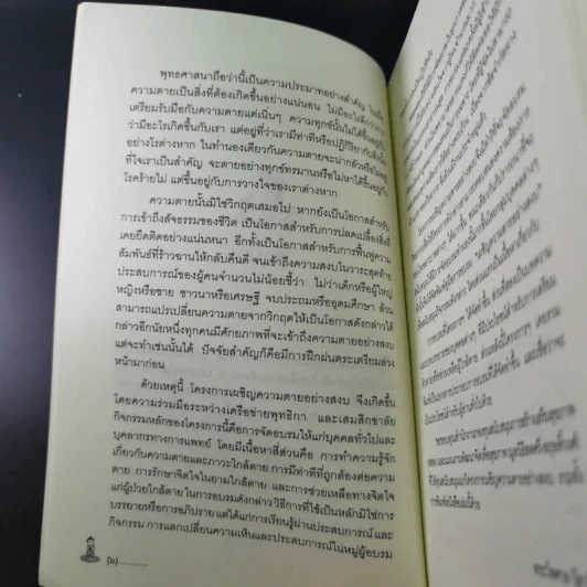 เผชิญความตายอย่างสงบ - พระไพศาล วิสาโล และปรีดา เรืองวิชาธร รูปที่ 13