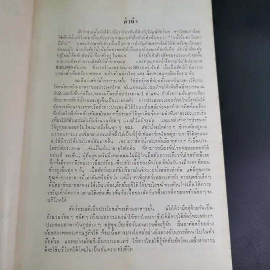 สัตว์ทะเลที่เป็นอาหารของคนไทย รูปที่ 7