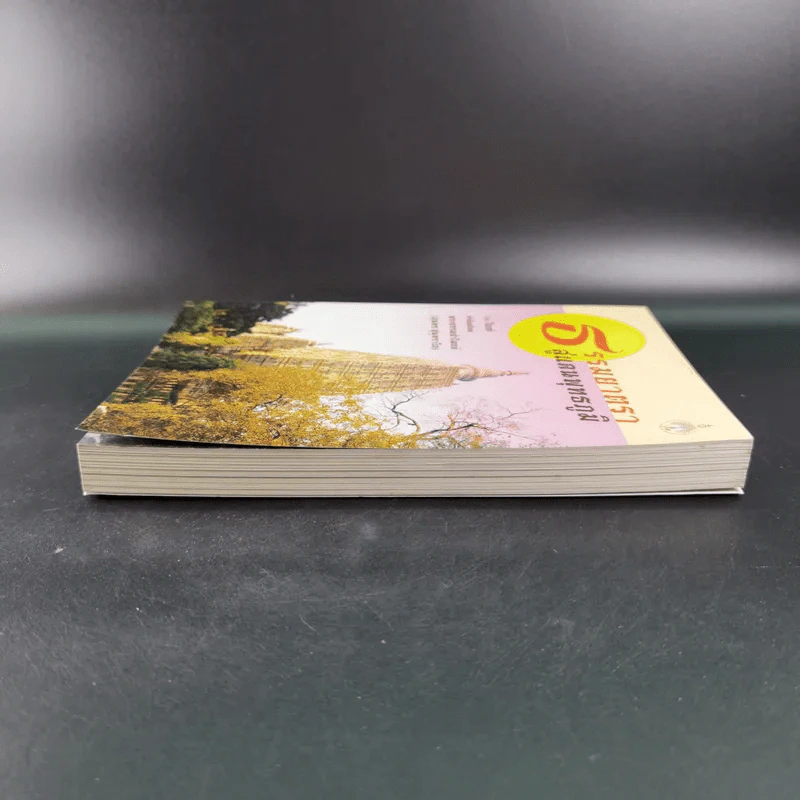 ธรรมยาตราสู่แดนพุทธภูมิ - โอเซ่ รูปที่ 5