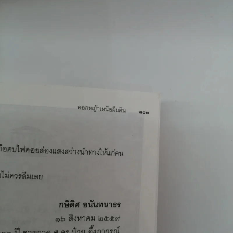 ดอกหญ้าเหนือผืนดิน - ชมัยภร แสงกระจ่าง รูปที่ 14