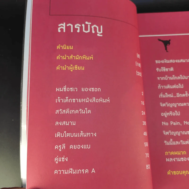 ความฝันสายดำ - ชเว ยองซอก รูปที่ 10