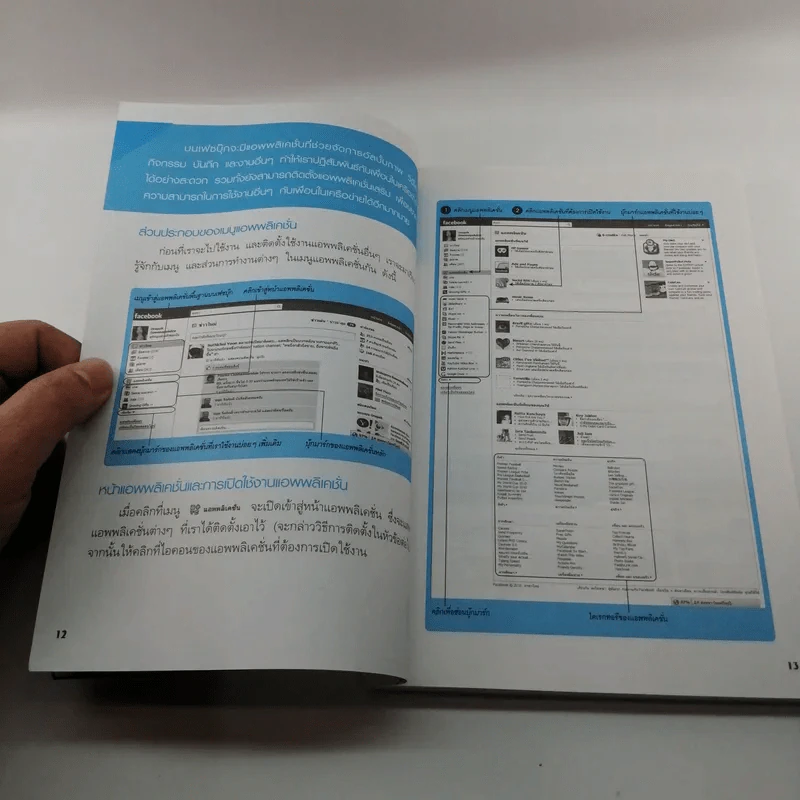 ทำตลาดบน Facebook ฉบับประยุกต์ใช้แอพพลิเคชั่น รูปที่ 10