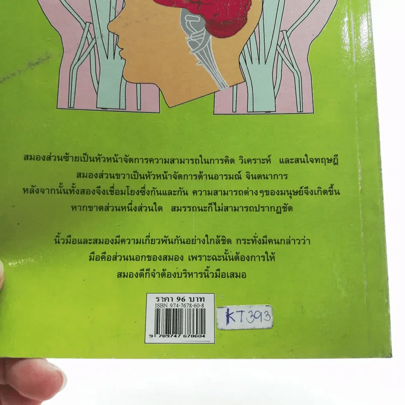 ชุดอาหารและสุขภาพ บริหารสมองด้วยปลายนิ้ว - ม.อึ้งอรุณ รูปที่ 17