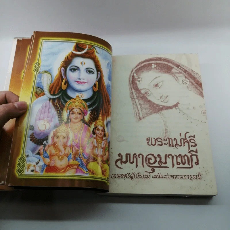พระแม่ศรีมหาอุมาเทวี เทพสตรีผู้เป็นแม่ เทวีแห่งความการุณย์ รูปที่ 13
