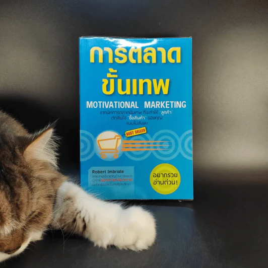 การตลาดขั้นเทพ Motivational Marketing - Robert Imbriale รูปที่ 1