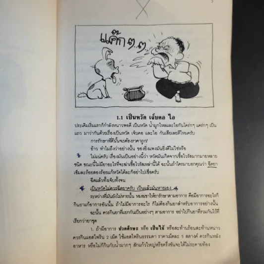 หมอประจำบ้าน - ศาสตราจารย์นายแพทย์ประเวศ วะสี รูปที่ 21