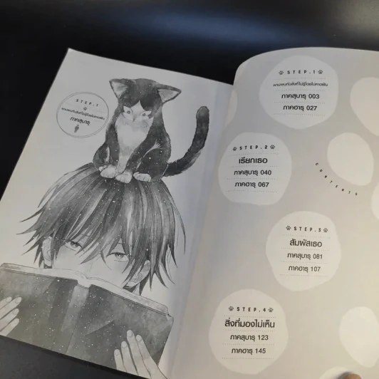 นายท่านอยู่บนตักหรือบางทีอยู่บนหัวเรา เล่ม 1 รูปที่ 11
