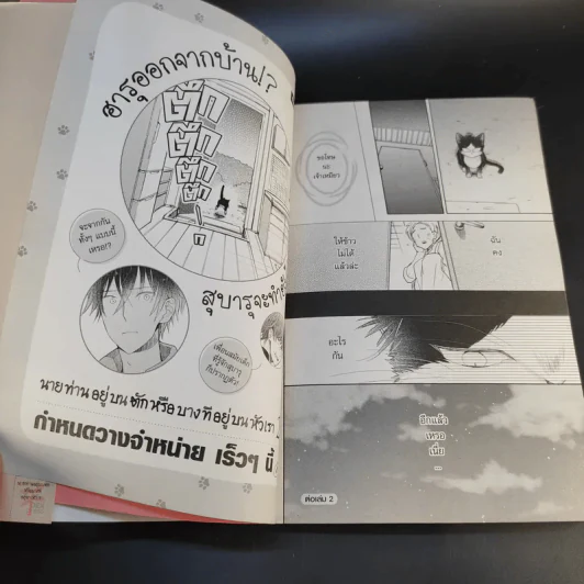 นายท่านอยู่บนตักหรือบางทีอยู่บนหัวเรา เล่ม 1 รูปที่ 14