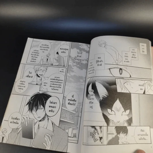 นายท่านอยู่บนตักหรือบางทีอยู่บนหัวเรา เล่ม 1 รูปที่ 12