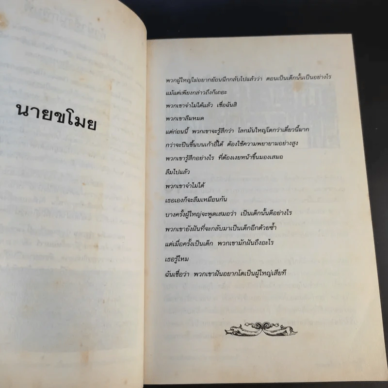 นายขโมย ความฝันอันยิ่งใหญ่ของเด็กชายที่กลายเป็นจริง - Cornelia Funke รูปที่ 10
