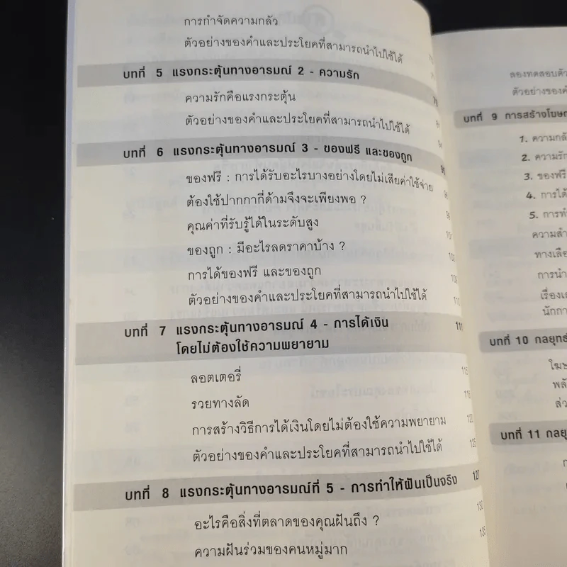 การตลาดขั้นเทพ Motivational Marketing - Robert Imbriale รูปที่ 13