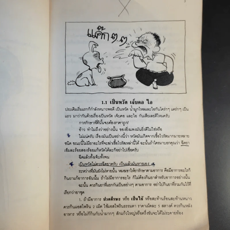 หมอประจำบ้าน - ศาสตราจารย์นายแพทย์ประเวศ วะสี รูปที่ 21