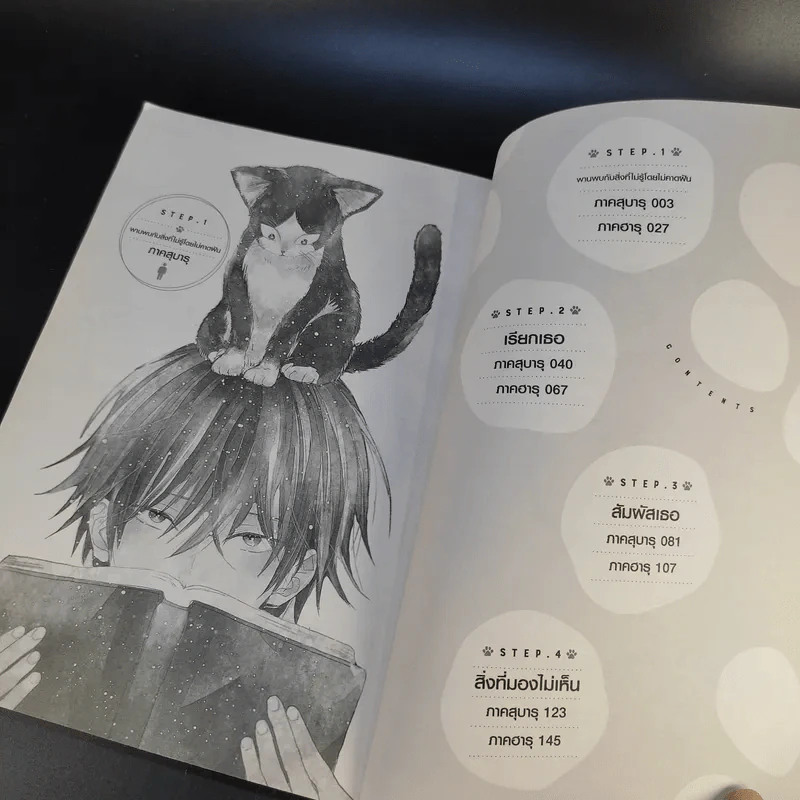 นายท่านอยู่บนตักหรือบางทีอยู่บนหัวเรา เล่ม 1 รูปที่ 11