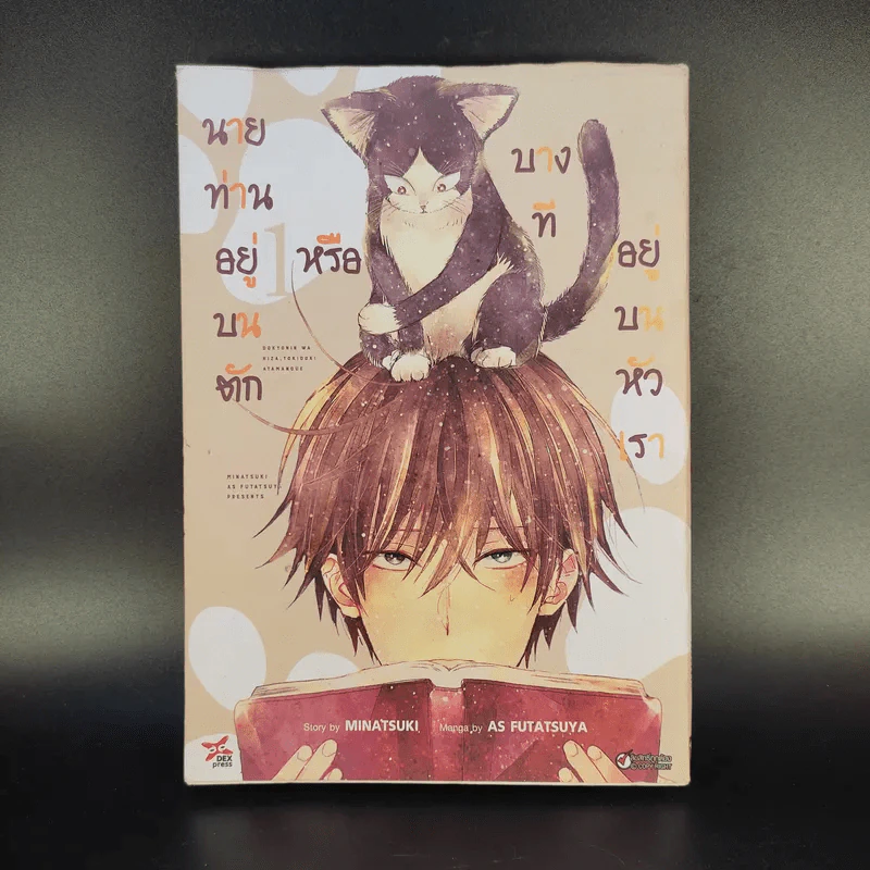 นายท่านอยู่บนตักหรือบางทีอยู่บนหัวเรา เล่ม 1 รูปที่ 1