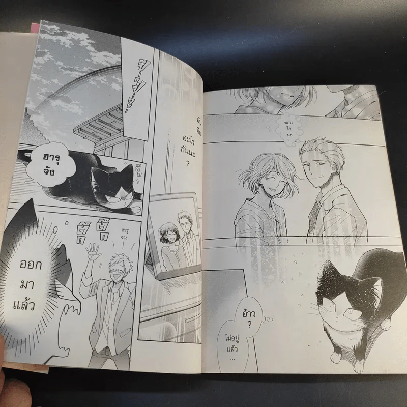 นายท่านอยู่บนตักหรือบางทีอยู่บนหัวเรา เล่ม 1 รูปที่ 13