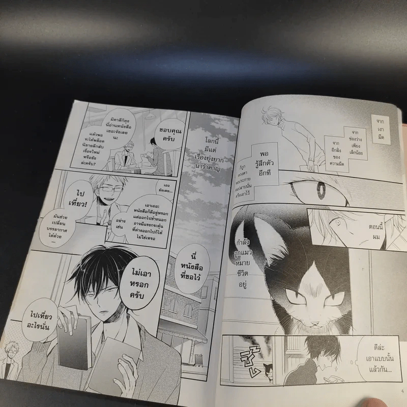 นายท่านอยู่บนตักหรือบางทีอยู่บนหัวเรา เล่ม 1 รูปที่ 12