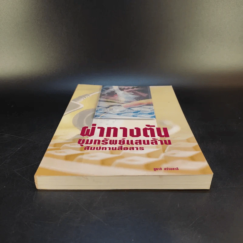 ผ่าทางตัน ขุมทรัพย์แสนล้าน สัมปทานสื่อสาร - ชูชาติ สว่างสาลี รูปที่ 4