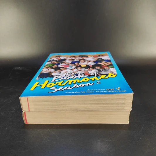 The Book of Hormones Season 1-2 ฮอร์โมน วัยว้าวุ่น รูปที่ 4