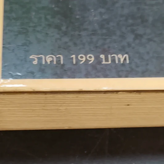 The World Is Flat ใครว่าโลกกลม เล่ม 1 - Thomas L. Friedman รูปที่ 17