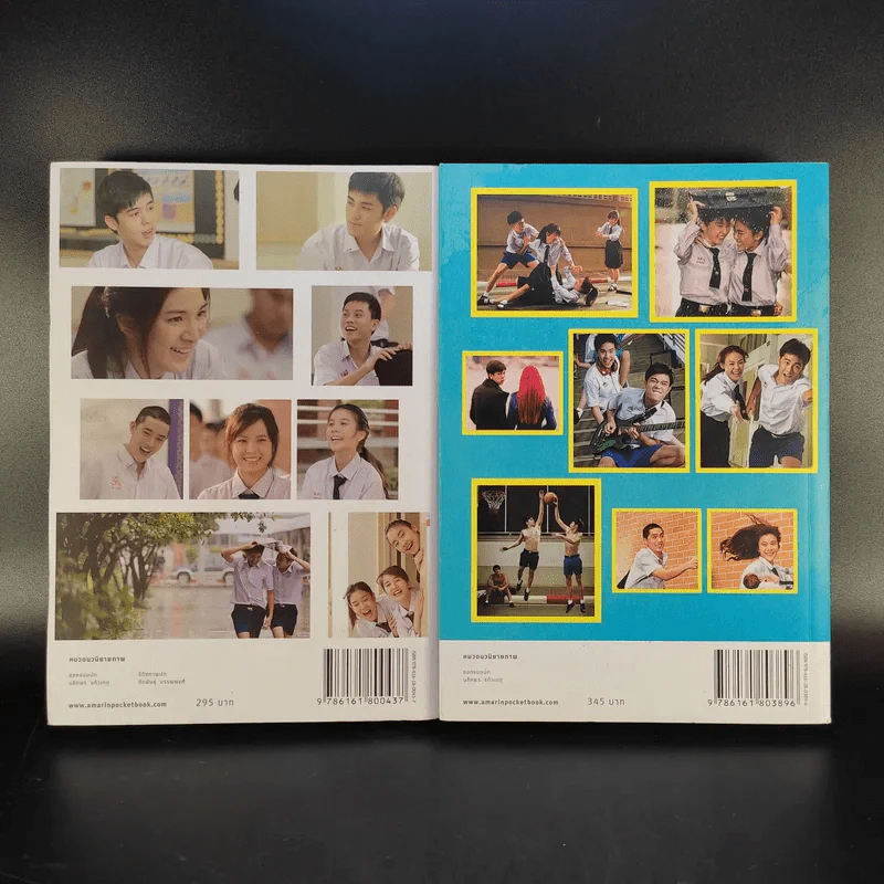 The Book of Hormones Season 1-2 ฮอร์โมน วัยว้าวุ่น รูปที่ 2