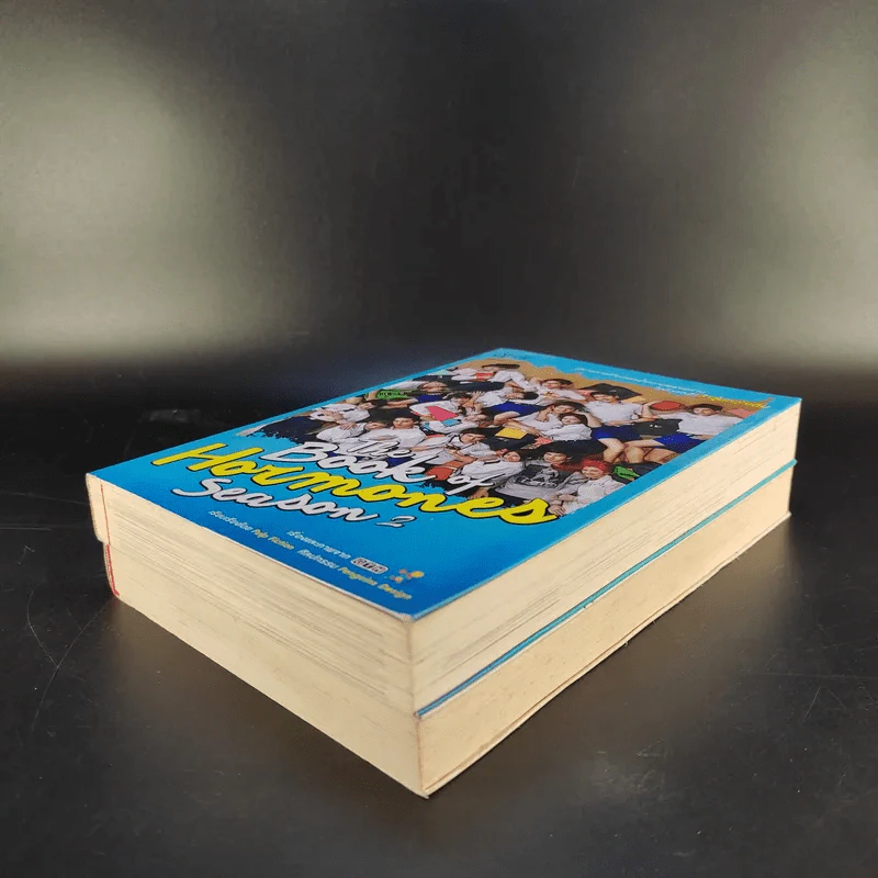The Book of Hormones Season 1-2 ฮอร์โมน วัยว้าวุ่น รูปที่ 7