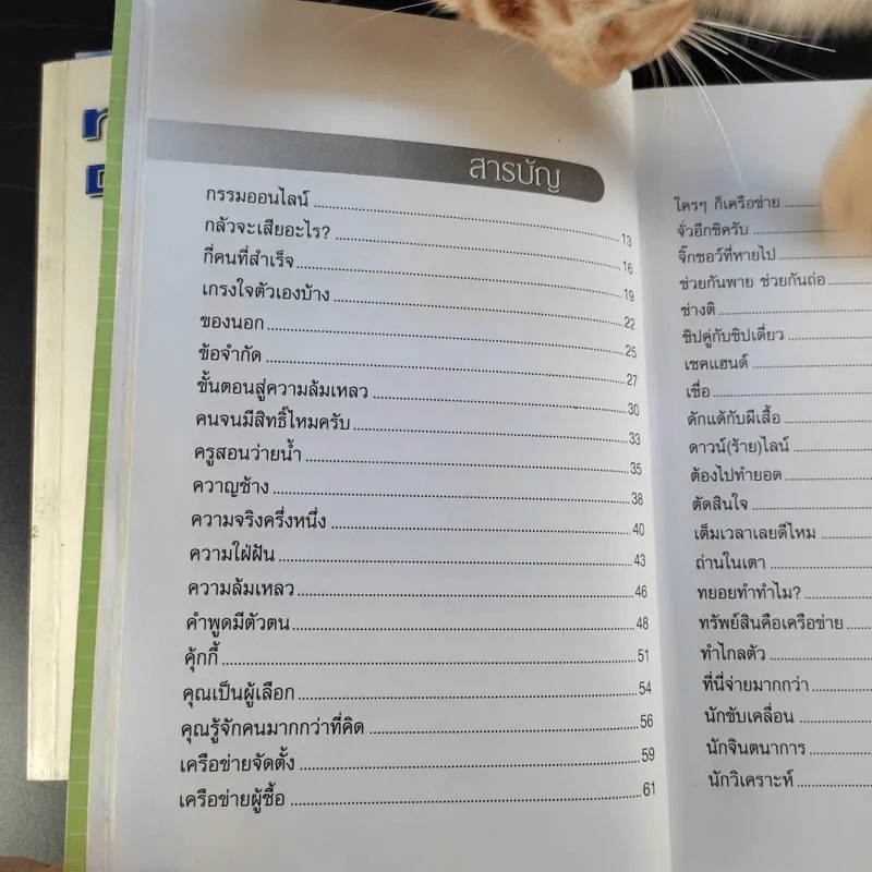 ทางเปียกฝน ถนนเปียกน้ำ เล่ม 1-2 - พิบูลย์ ดิษฐอุดม รูปที่ 20