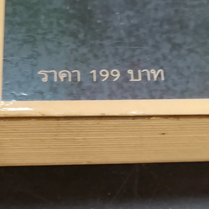 The World Is Flat ใครว่าโลกกลม เล่ม 1 - Thomas L. Friedman รูปที่ 17